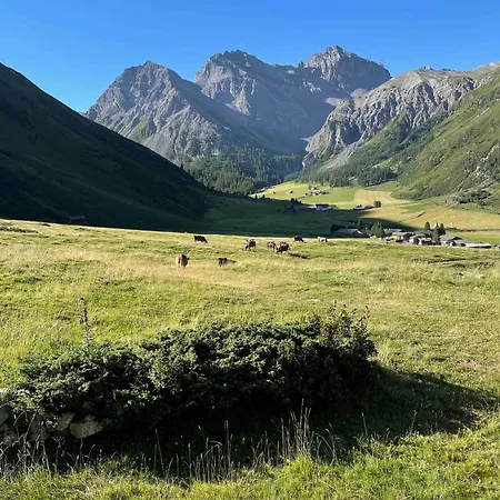 Zauberberg In Voller Pracht Chalet