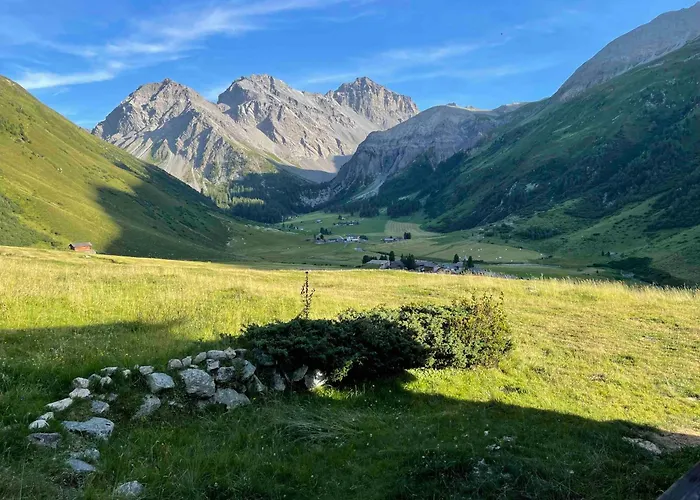 Zauberberg In Voller Pracht Sertig Döfli