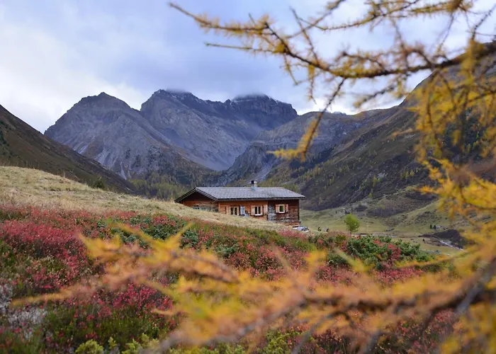 Zauberberg In Voller Pracht *